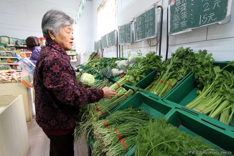 灰灰菜市场价多少钱一斤