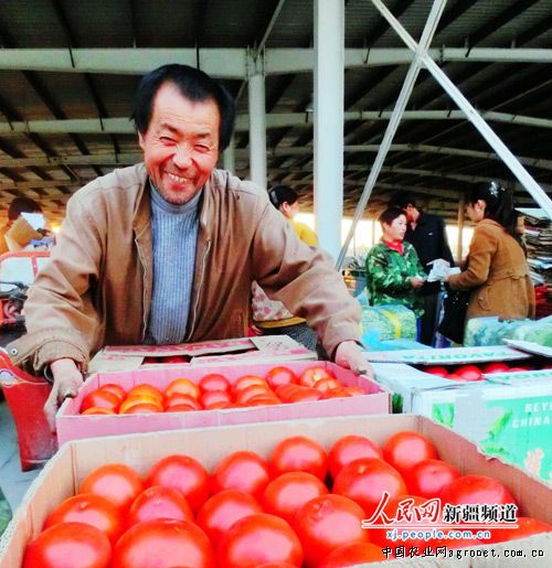 哪里有上海西红柿基地