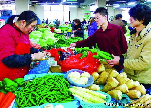 吕梁市离石区大力推进蔬菜产业开发 充实菜农“钱袋子”