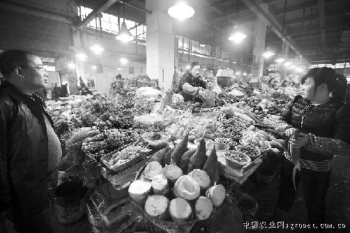 广州大白菜一斤4元 随供应量增加菜价将止升回稳
