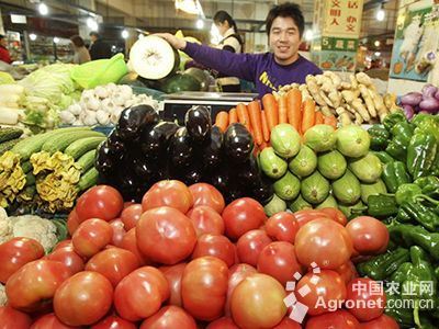 亚洲大春白菜病虫害及防治