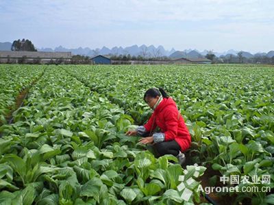 越南对农药的需求