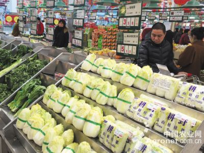 黄花菜种子批发市场价格
