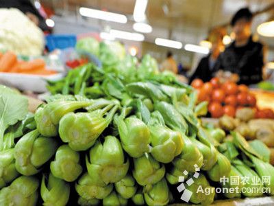 蔬菜商情网产地价格