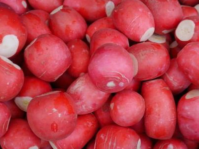 紫薯种植方法