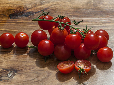 早红茄育种技术