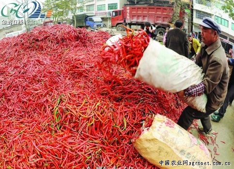 延吉市蔬菜价格稳中有降