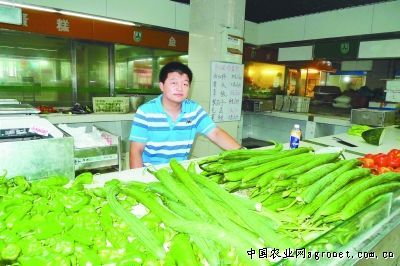 青川竹荪种植技术