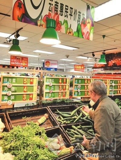 常州：蔬菜价格连续5个月下跌