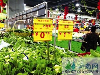青岛大白菜国家登记品种数量达276个 位居全国首位（图）