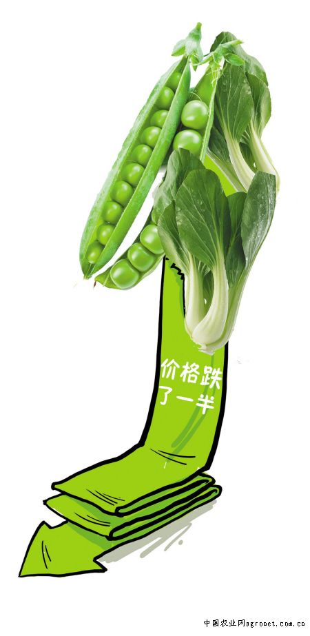 江苏：水生蔬菜种植新模式化解连作障碍难题