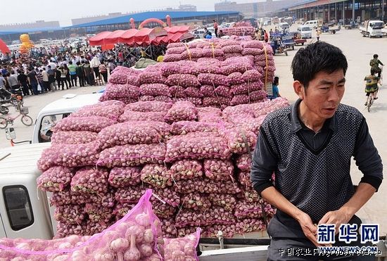 紫薯市场价格