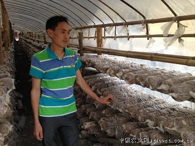 上海坤禾种业有限公司