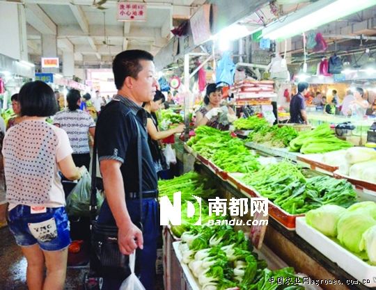 惠州22个农贸市场蔬菜可快速检测