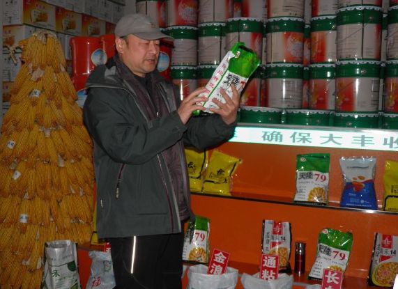 北京今日香菜价格最新行情
