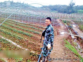 贵阳汇川：种植订单辣椒3.6万亩（图）