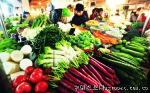 散叶荠菜市场价格