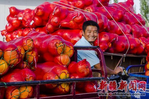北京红辣椒种植