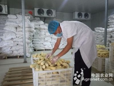 康农玉108玉米化肥袋