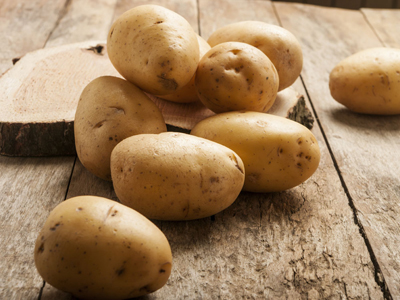 冀张薯12土豆种子