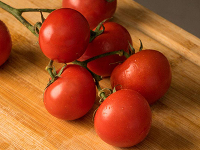 樱桃番茄种子种植视频