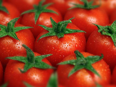 特美特3号西红柿种子