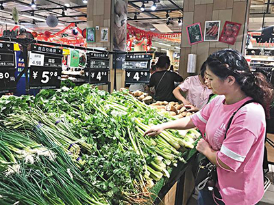 北京白菜价格行情
