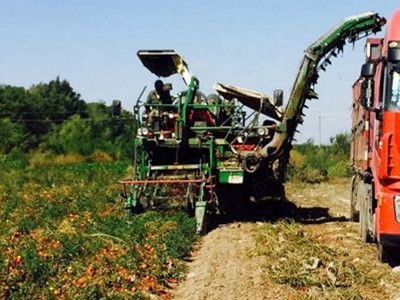 新疆新化化肥有限公司