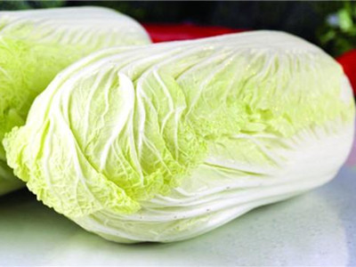 大白菜病虫害防治方法