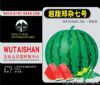 供应超甜郑杂七号—西瓜种子