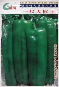 供应一尺大椒王——辣椒种子