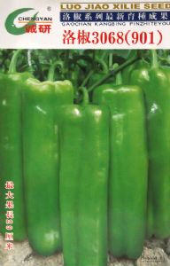 供应洛椒3068（901）——辣椒种子