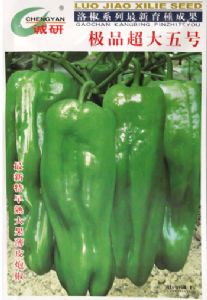 供应极品超大五号——辣椒种子