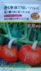 红福短蔓F1——南瓜种子