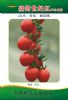 供应世纪红—番茄种子