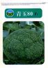 供应青玉80F1（西兰花）——青花菜种子