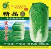 供应精品京绿三号—白菜种子