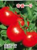 供应最新选育抗TY优良品种/奇番一号F1红番茄种子/硬果型红番茄种子