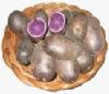 供应紫土豆