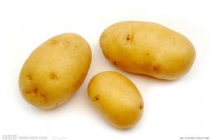 供应优质荷兰土豆