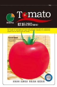 供应欧粉280—番茄种子