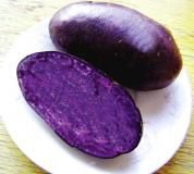供应紫土豆“黑金刚”