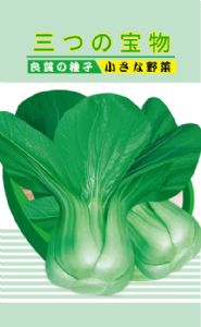 供应绿威—油菜种子