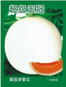 供应超级玉冠—甜瓜种子