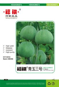 供应福祺青玉三号—甜瓜种子