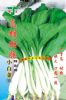 供应高雄甜脆小白菜(928)—白菜种子
