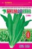 供应新世纪改良全年无斑油麦(108)—莴苣种子