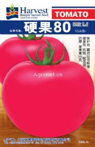 硬果80-番茄种子
