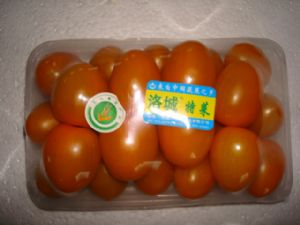 供应贝贝樱桃番茄—优质蔬菜