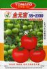 金元宝2789高档石头番茄-番茄种子